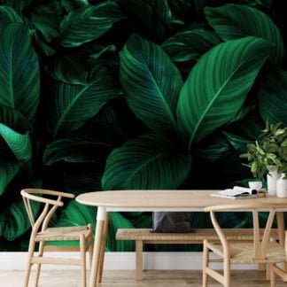 Tropikal Temalı Koyu Cannifolium Bitki Yaprakları Duvar Kağıdı, Mistik Tropikal Duvar Kağıdı Yaprak Desenli Duvar Kağıtları